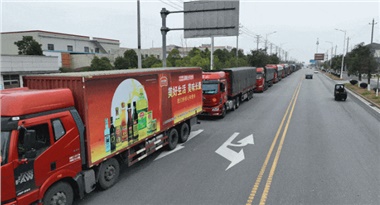 馬年“開門紅”！長康集團首日訂單額突破3000萬元